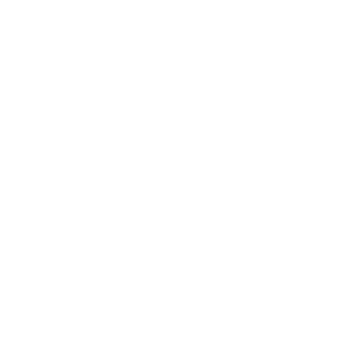 magnifying glass icon