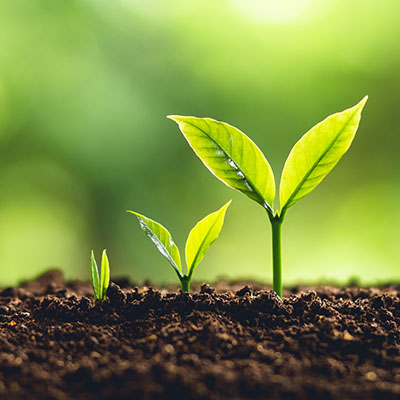 Big Data Can Help Fuel Your Business Growth Innovative Network Solutions Big Data Can Help Fuel Your Business Growth Innovative Network Solutions